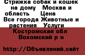 Стрижка собак и кошек на дому.  Москва и область.  › Цена ­ 1 200 - Все города Животные и растения » Услуги   . Костромская обл.,Вохомский р-н